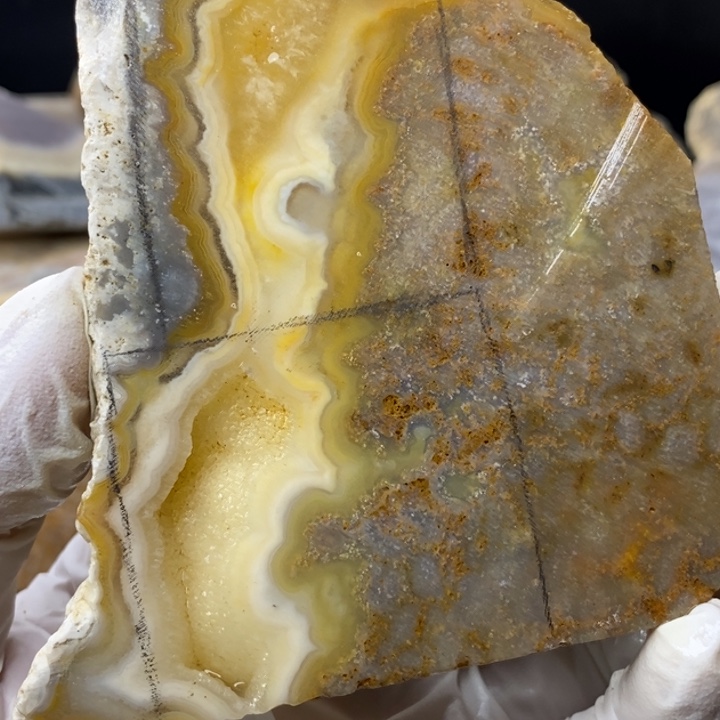 【闪购商品】未镶嵌珊瑚玉硅化玉