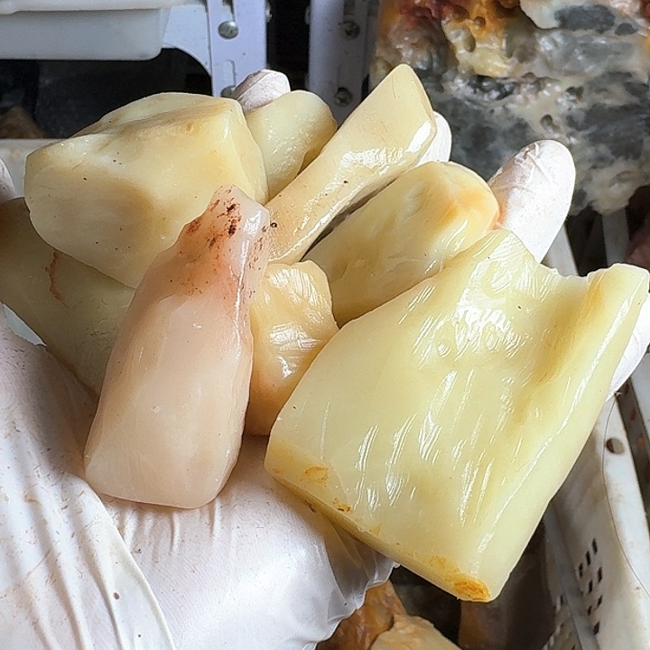 老挝石嘉***哥寿山石的故事