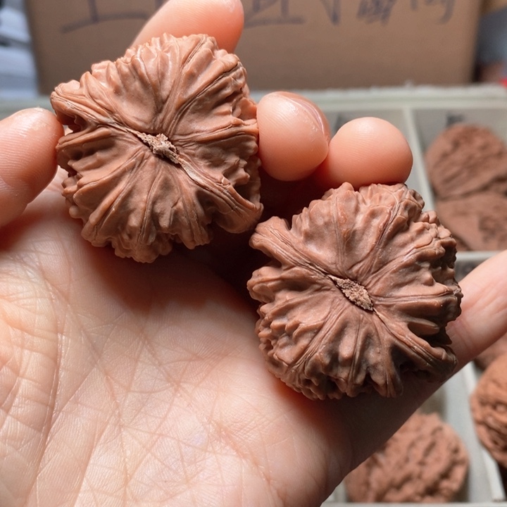 文玩核桃吊坠露*白狮子