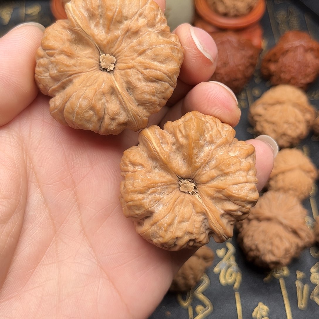 菊*麻核桃边45+全品蛤蟆头