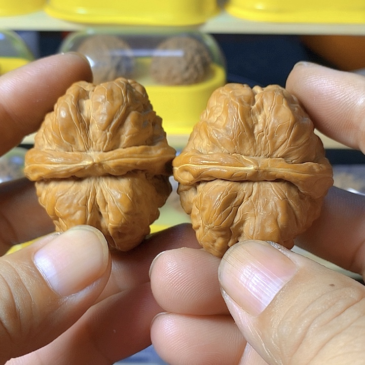 大叶紫檀（黑酸枝木类）