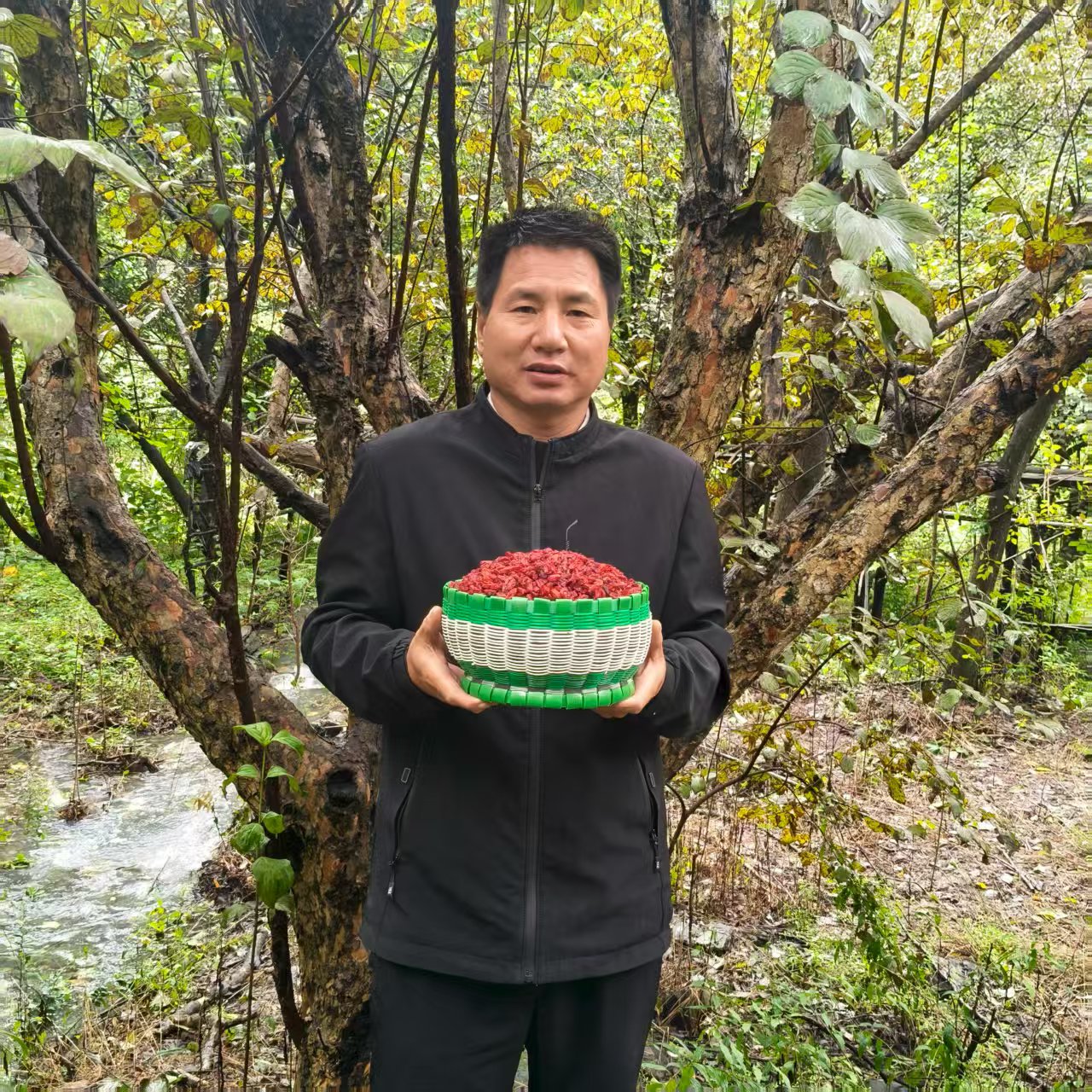 山茱萸与其它食材黄金搭档