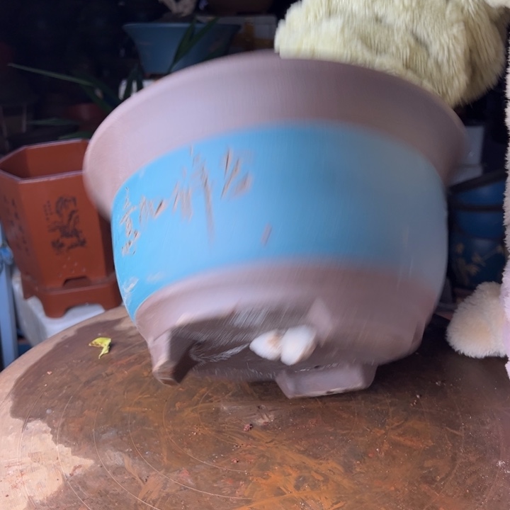 紫砂宜兴紫砂蓝中花盆