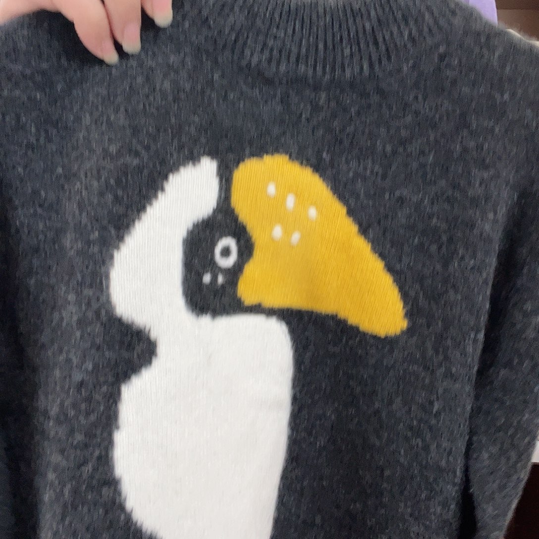 儿童巨嘴鸟160新款