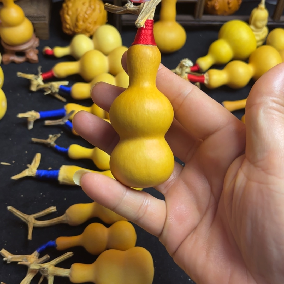 w***候葫芦等各种各样品种