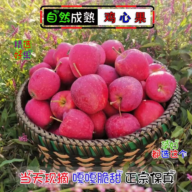 东北鸡心果海棠果精品小苹果新鲜小苹果1斤3斤5斤