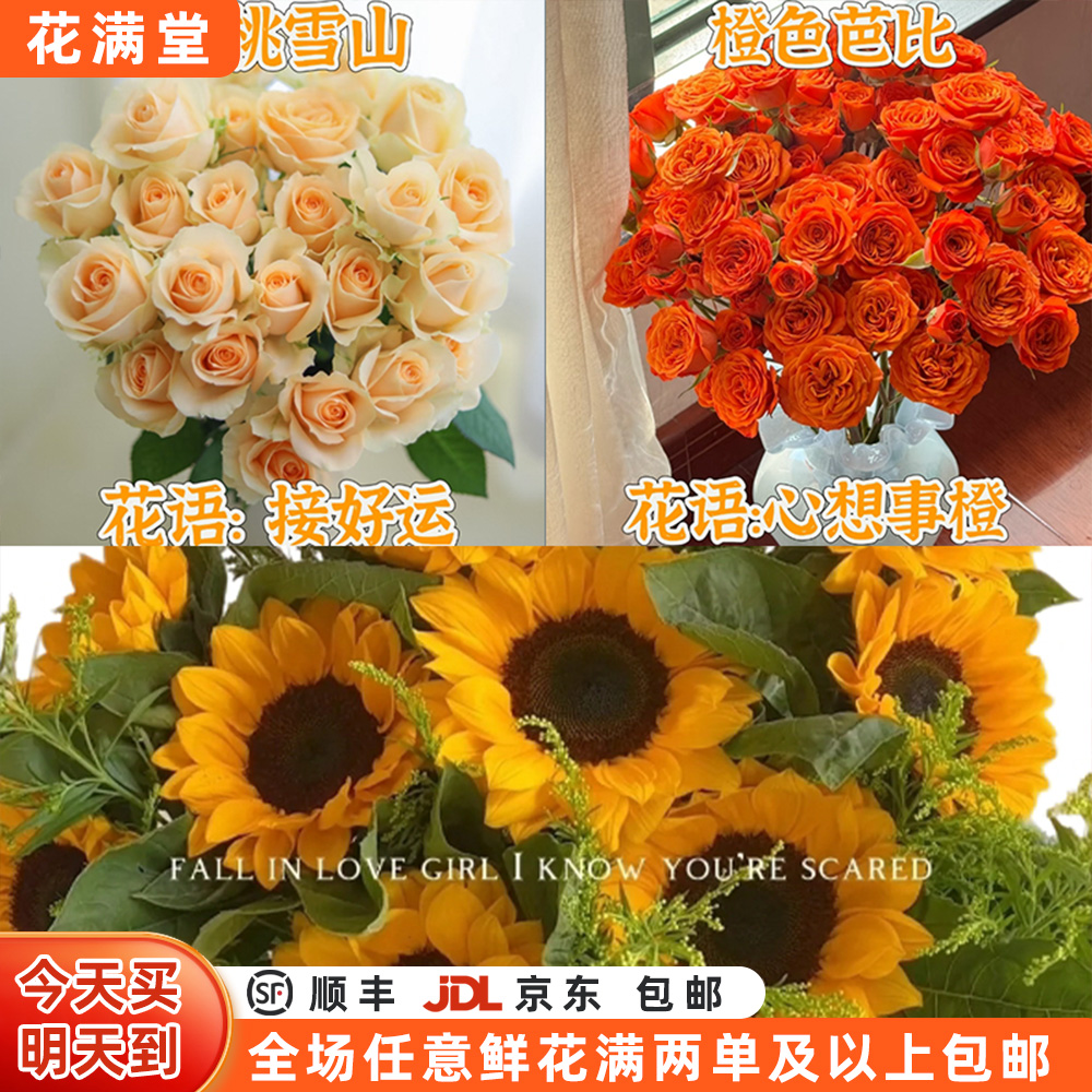 【次日达·心想事成】香槟5枝芭比5枝向日葵3枝·全场两单顺丰包邮·基地直发·批发·鲜切花次日达