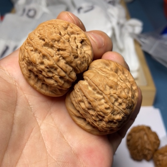 桃核把件核桃6号东