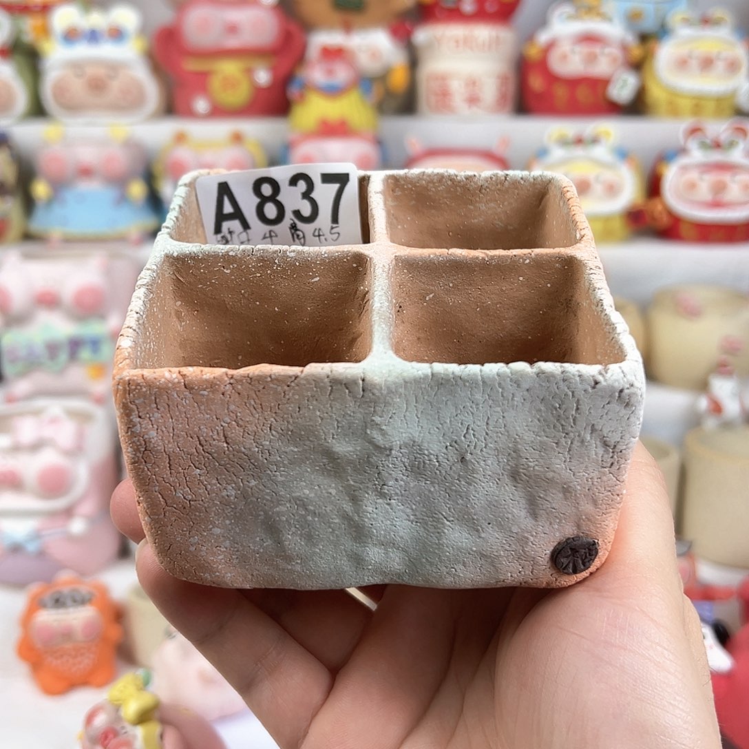 陶瓷A837木栖田字形四格方盆特价