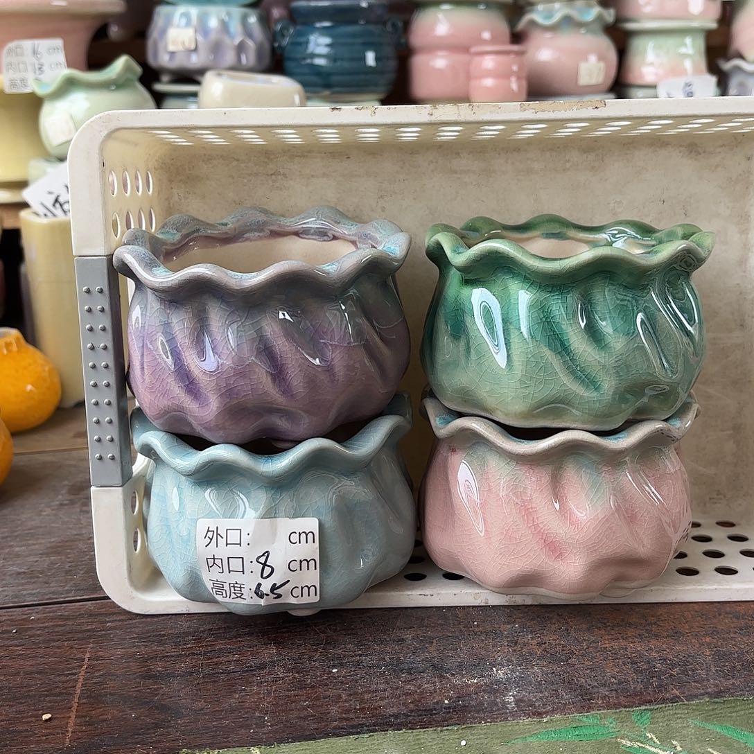 量货/口8高6.5深浅搭配发4