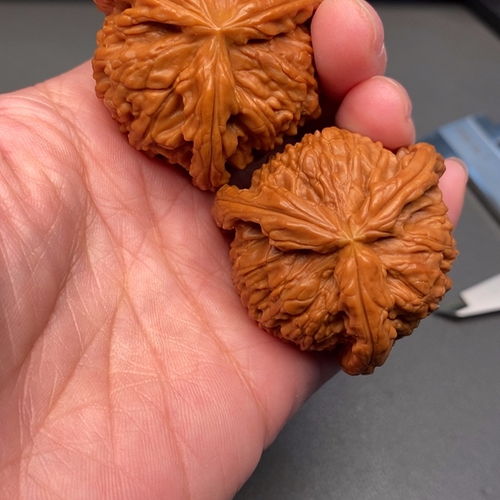 风***线木质类核桃核桃核桃