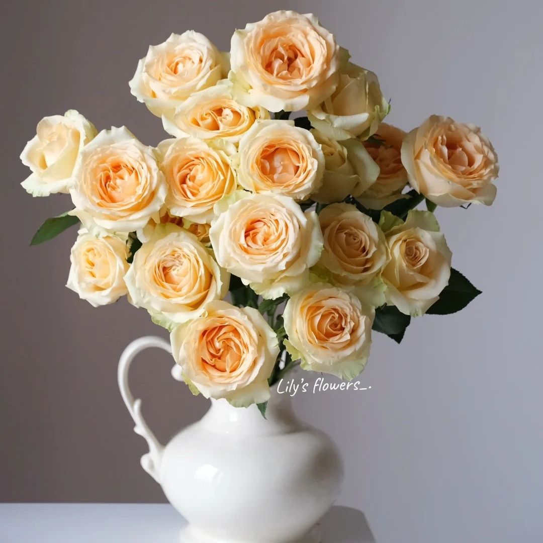 【10支 香槟玫瑰】全场鲜花任意满2单及以上 升级顺丰包邮