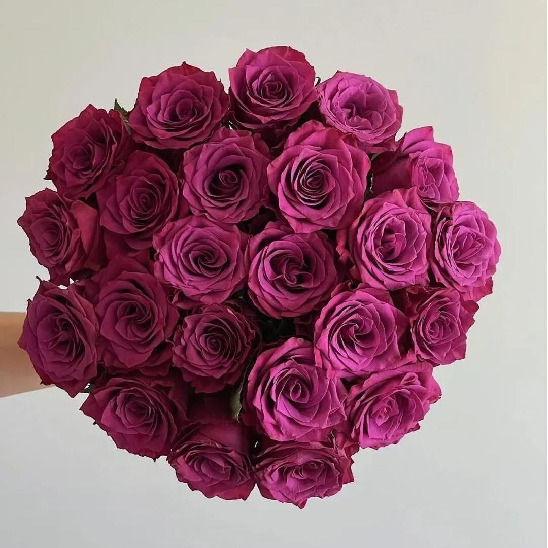 【蓝莓玫瑰】斗南鲜花云南直发玫瑰鲜花两单京东冷链包邮