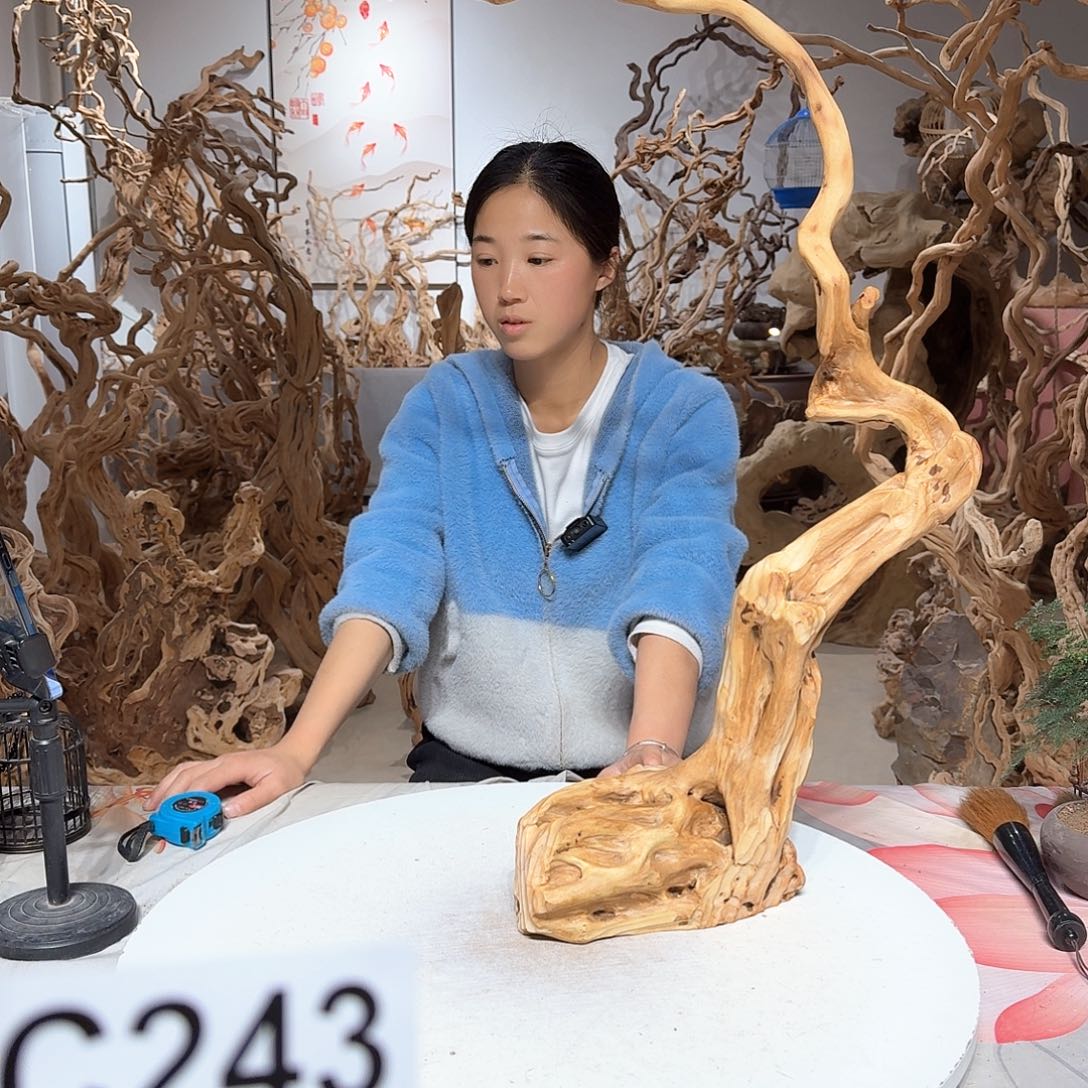 风车木（黑檀木）1**0