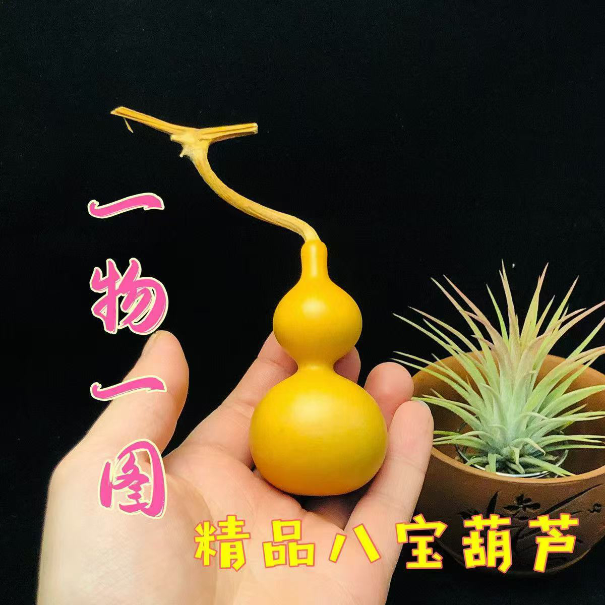 直播间葫芦链接(一物一拍)