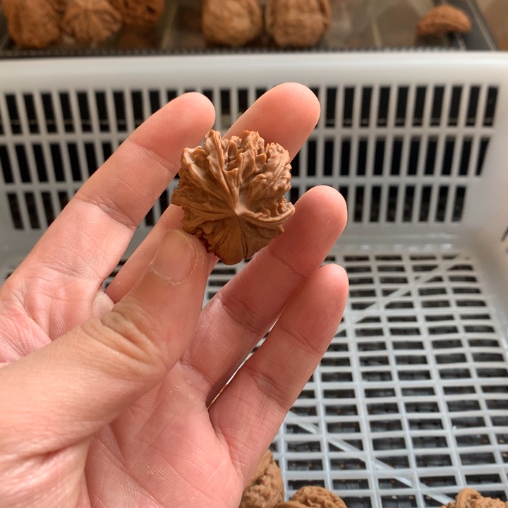 教***瘦把件文玩核桃苹果