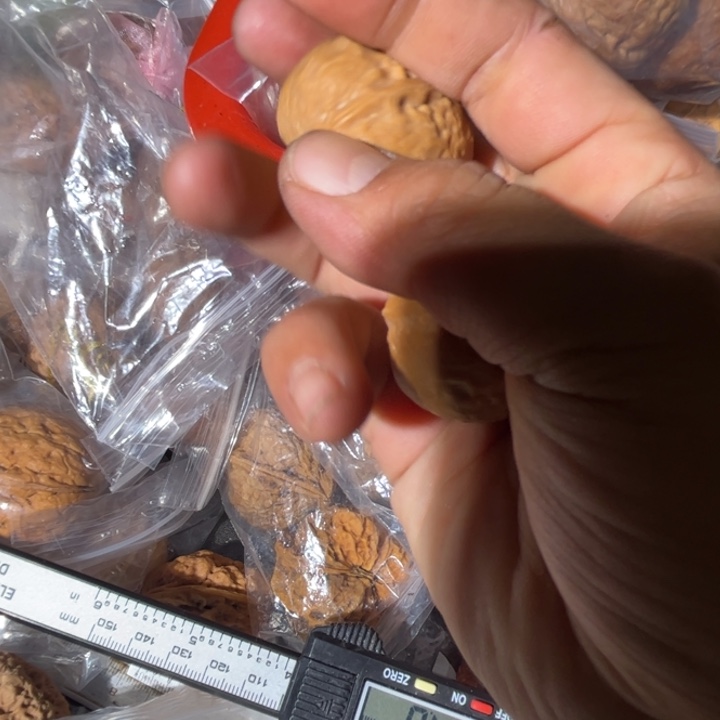 文玩核桃吊坠滇西122