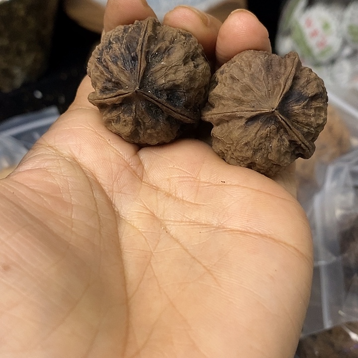 核桃云南铁核桃基地63