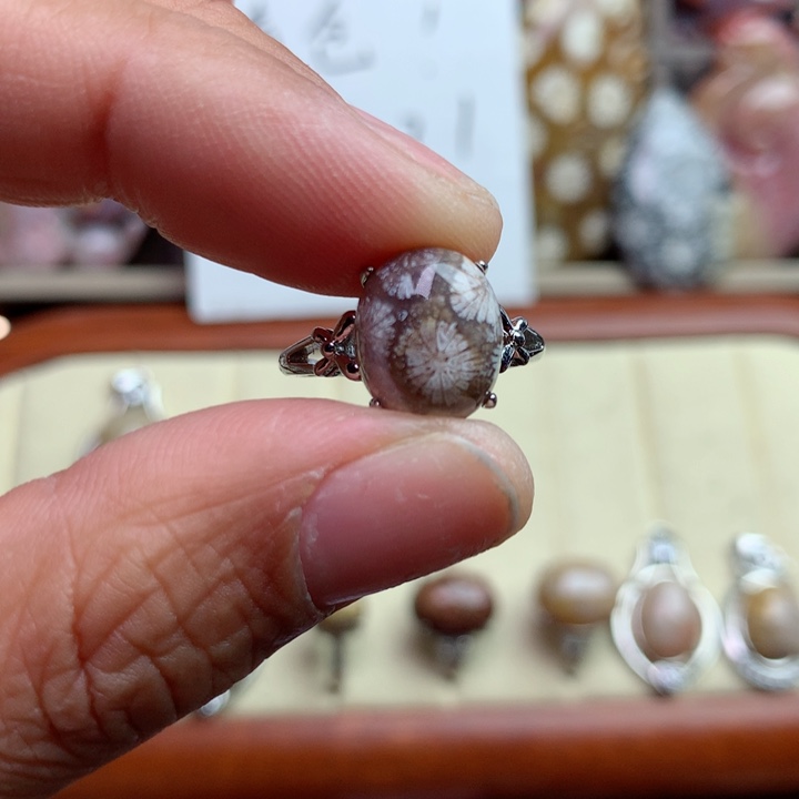 硅化珊瑚（珊瑚玉）颈饰未镶嵌