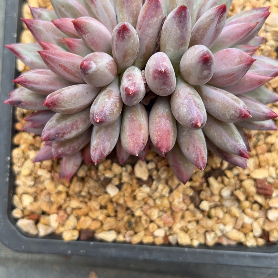 迷***，11111111111111111111111111