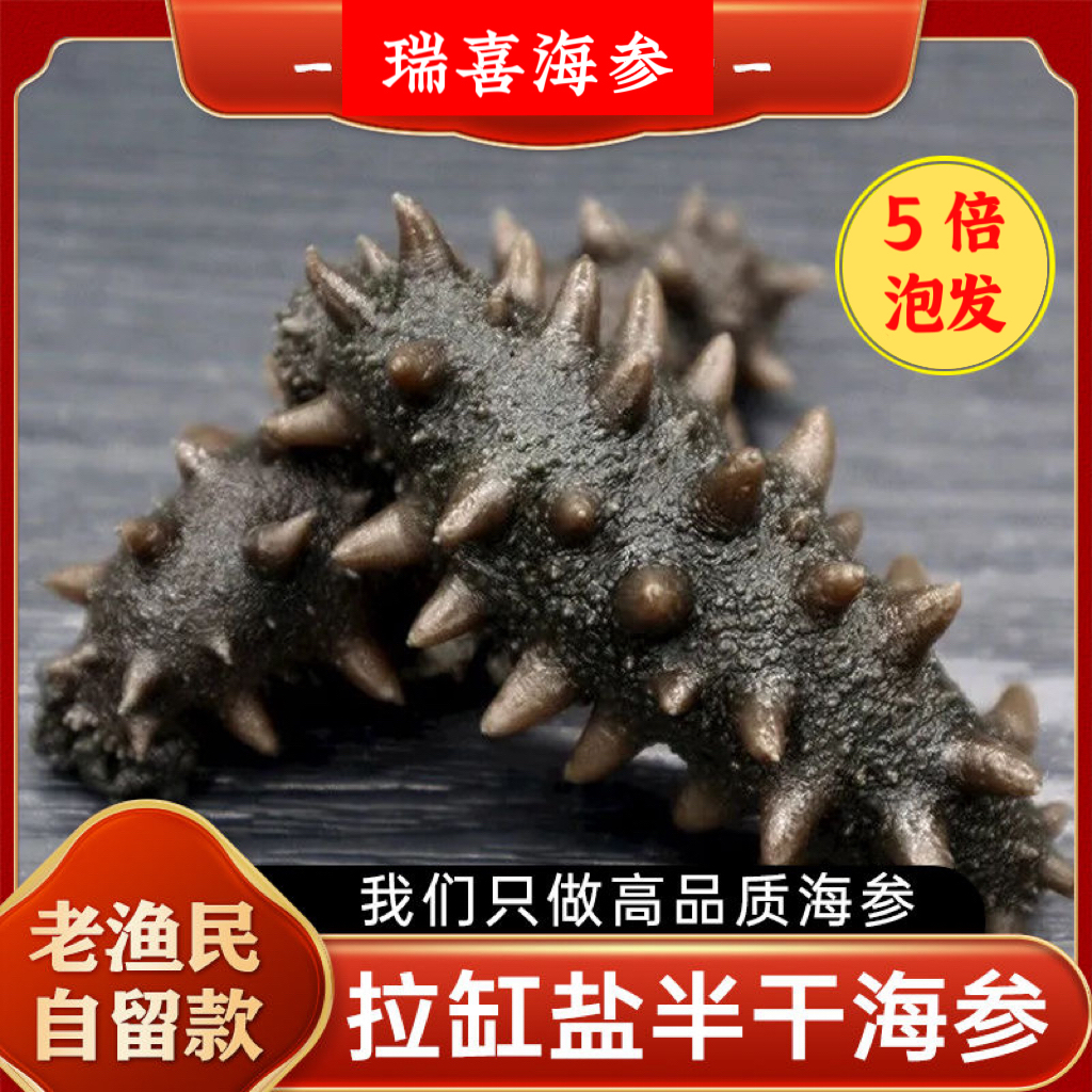 （大捡漏）瓦房店沙山 顶顶火拉缸盐 半干海参（5倍泡发）滋补 