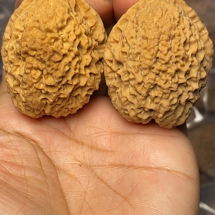 文玩核桃把件云南铁核桃22