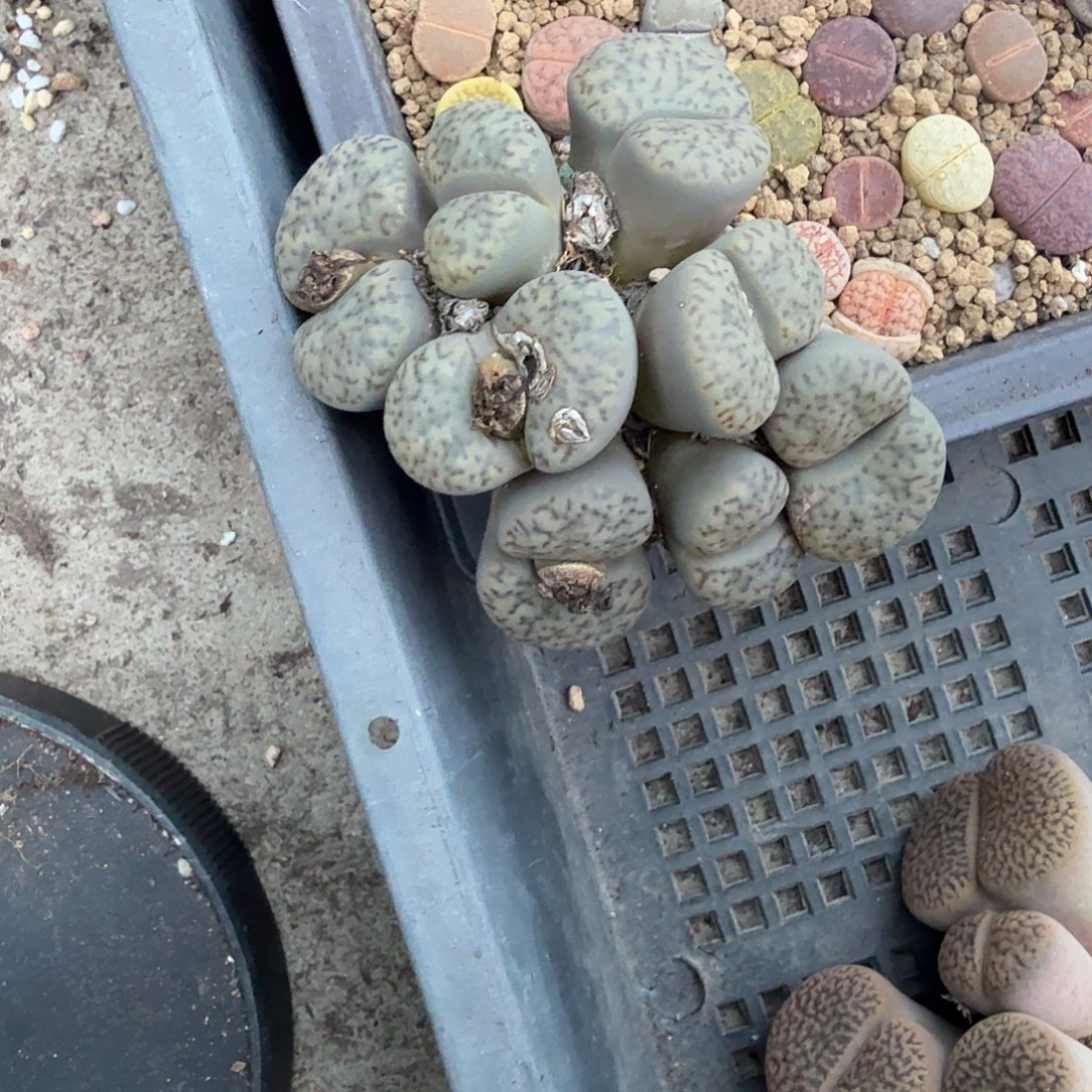 是一个不想被爱包围了吧716不