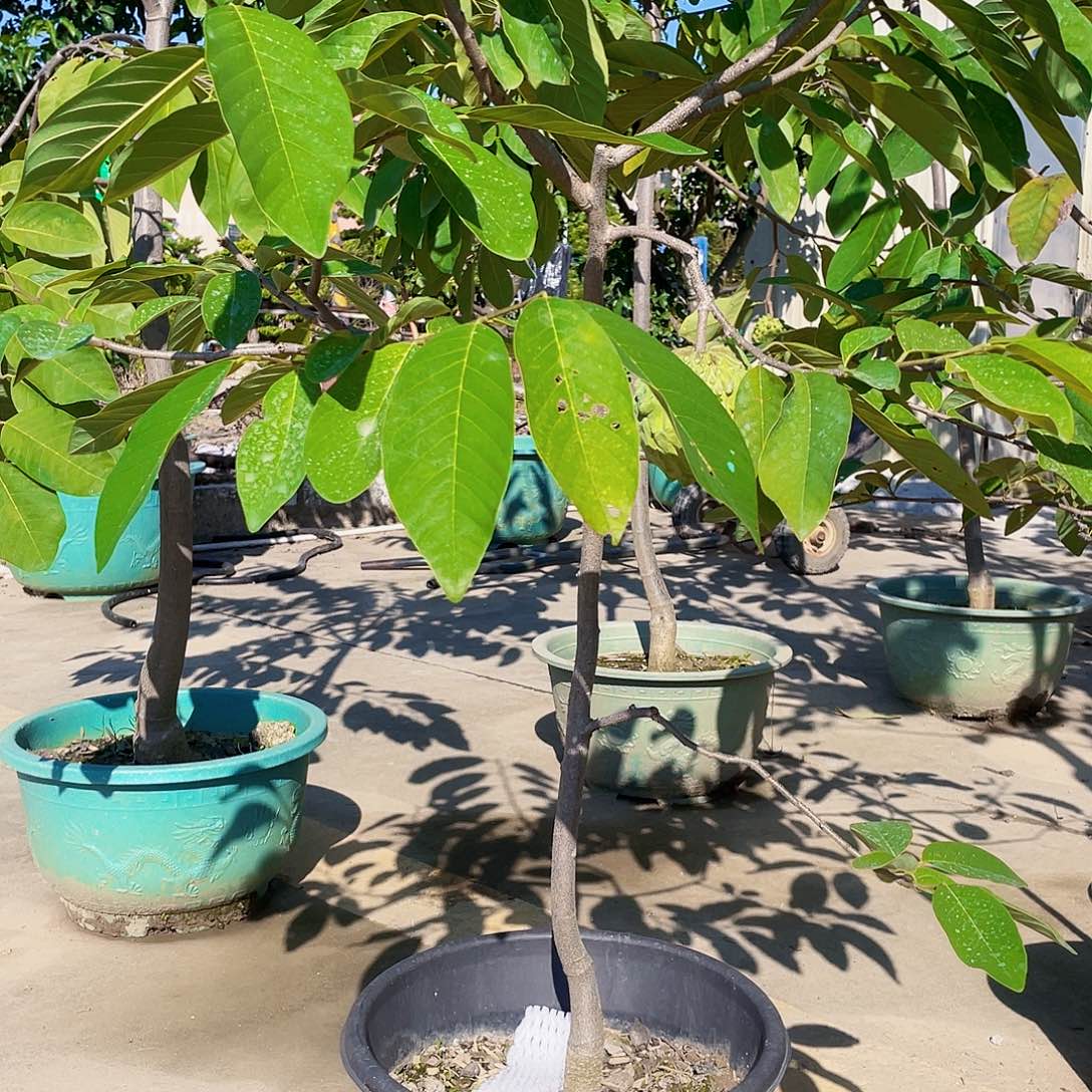 完全开放7****_1111111111