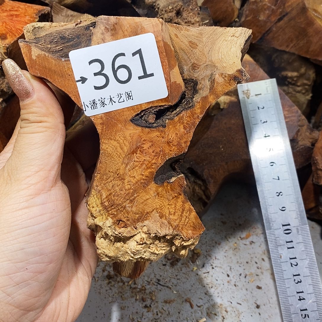 香榧木晚*｀火琉璃……火琉璃