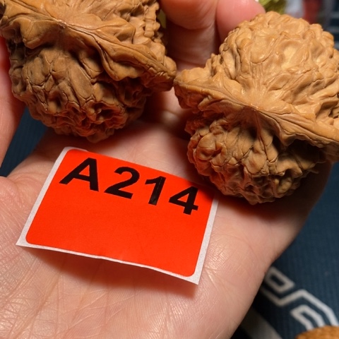 核桃47.5。         214