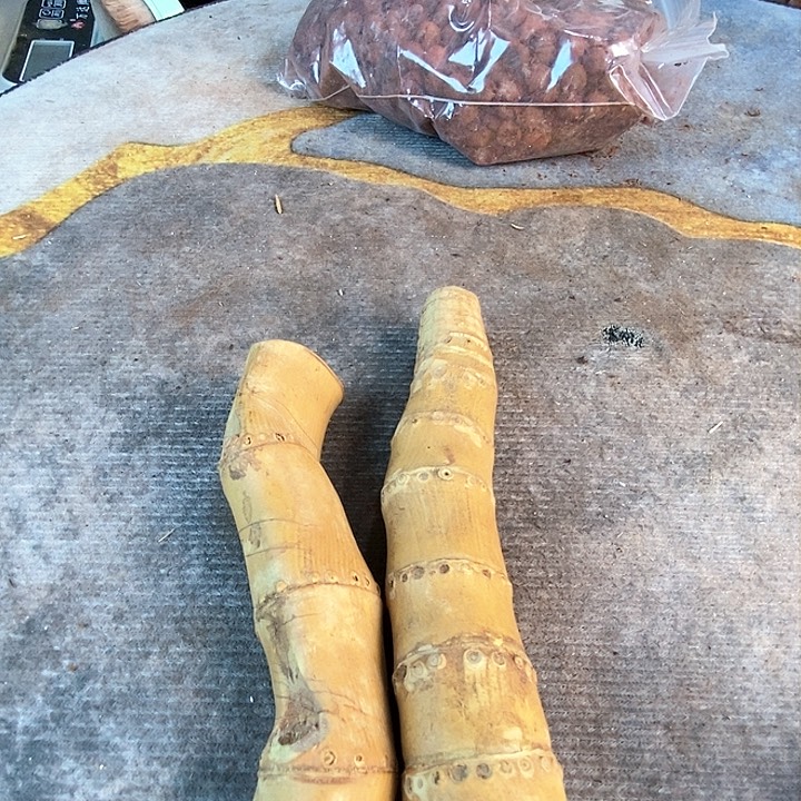 竹861两个毛料毛料毛料毛料