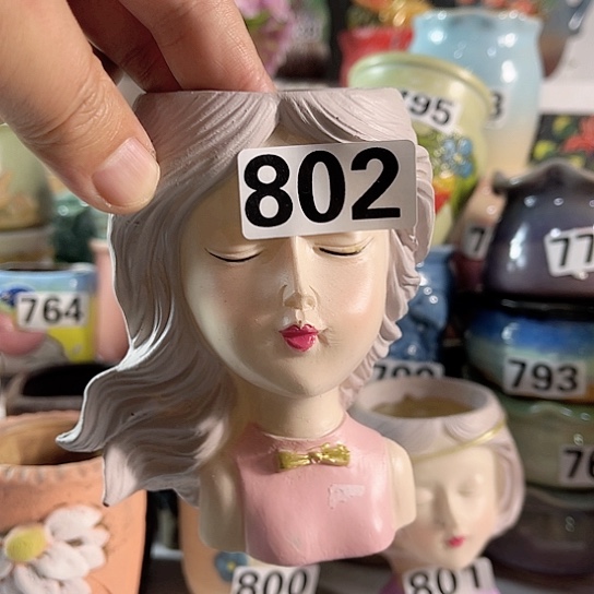 红陶多肉植物花盆