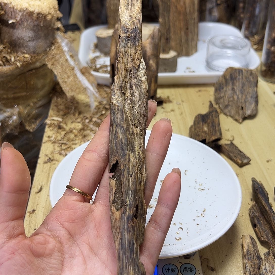 木绿奇楠虫漏原材料17克