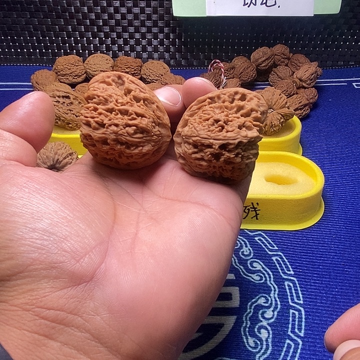 南疆石43尺天使之翼