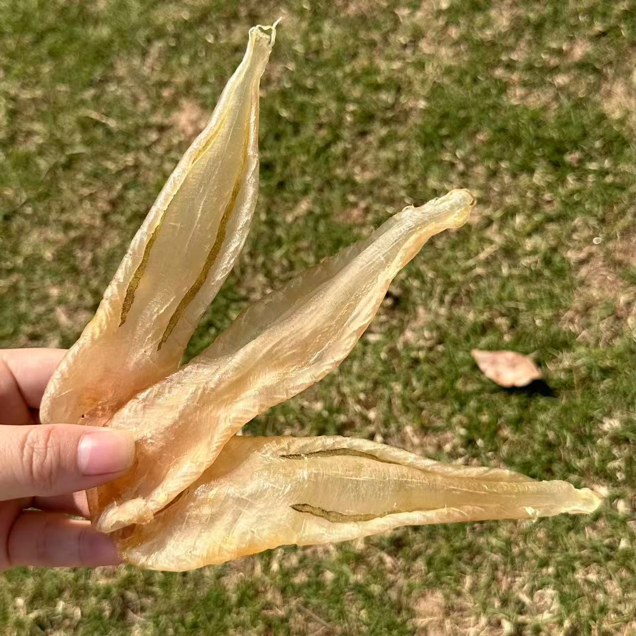 （胶德汇大额）严选胶个朋友直播间鱼胶1-500g称重综合链接