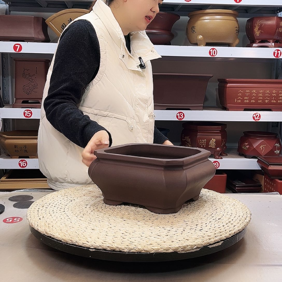 紫砂花盆紫砂花盆