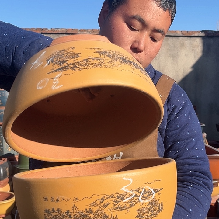 紫砂紫砂花盆盆栽