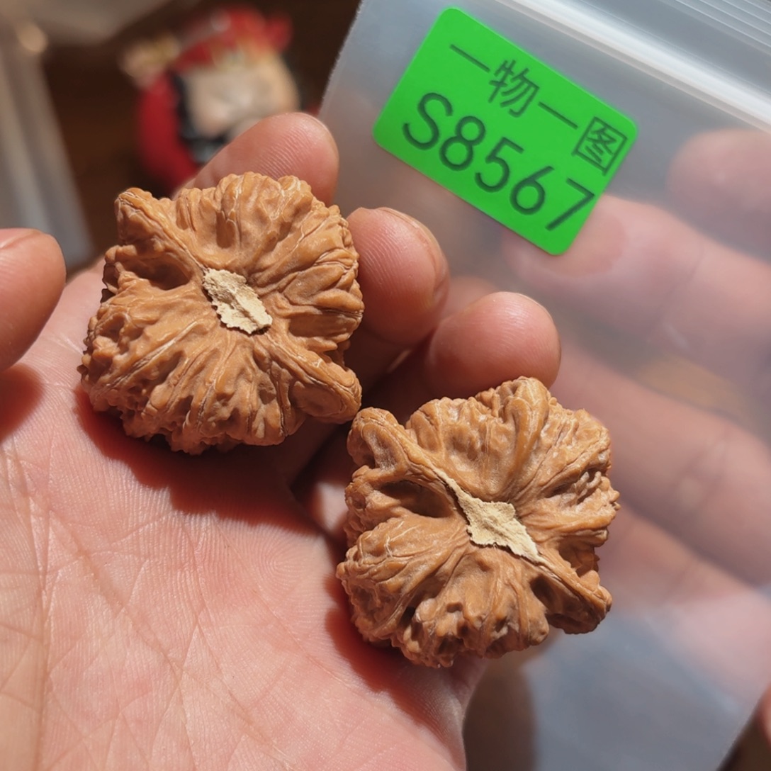 吊坠文玩核桃秘闻