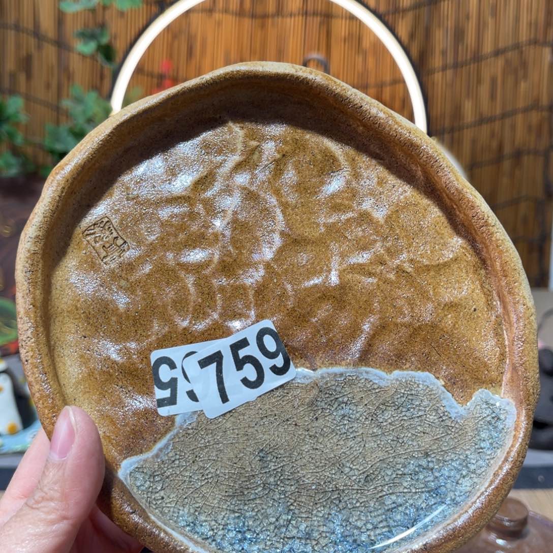 木村信弘柴烧保平