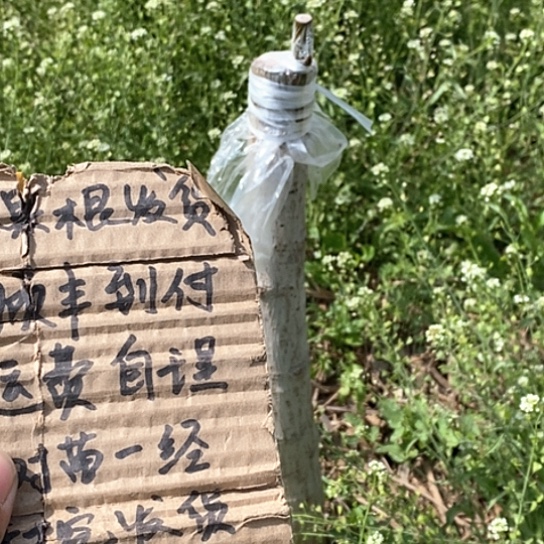 文玩核桃吊坠乐*遥