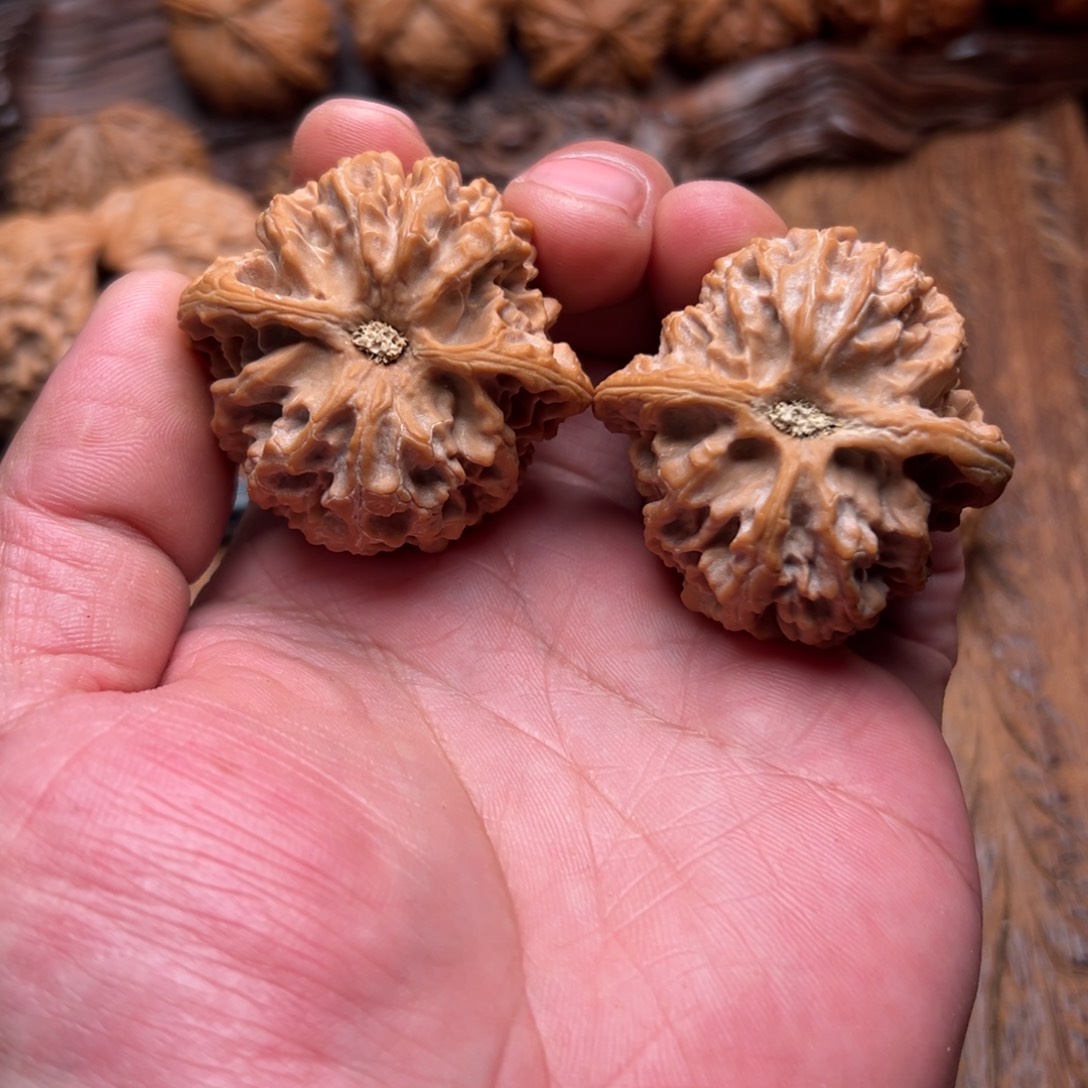 文玩核桃把件夜***宿苹果园