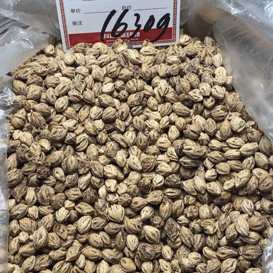 吊坠柏香籽/百香籽