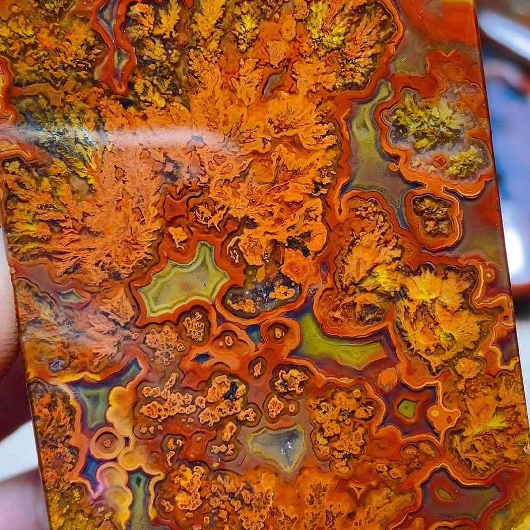 未镶嵌颈饰玛瑙/玉髓潘*鸣