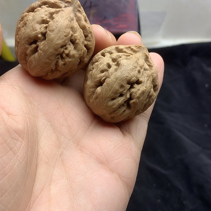 沧***士文玩核桃吊坠霸王龙