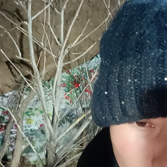 和***福完全开放文冠树一颗