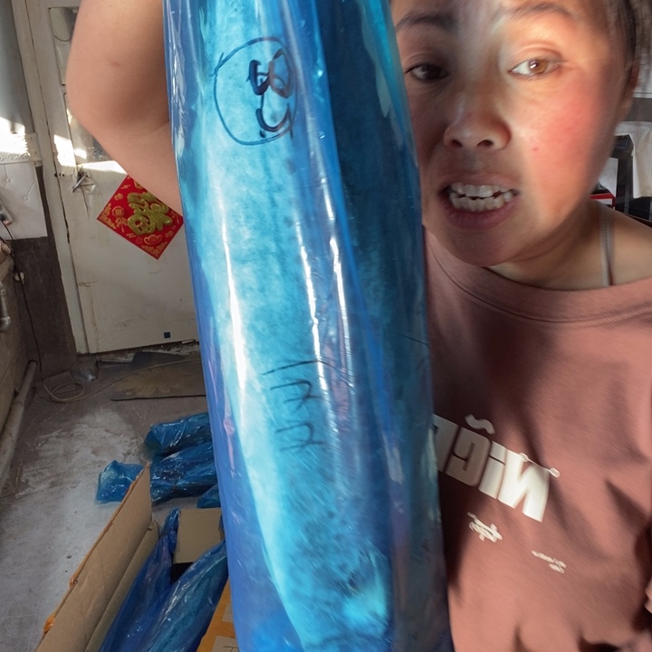 中国大陆渤海湾野生燕鲅鱼32号