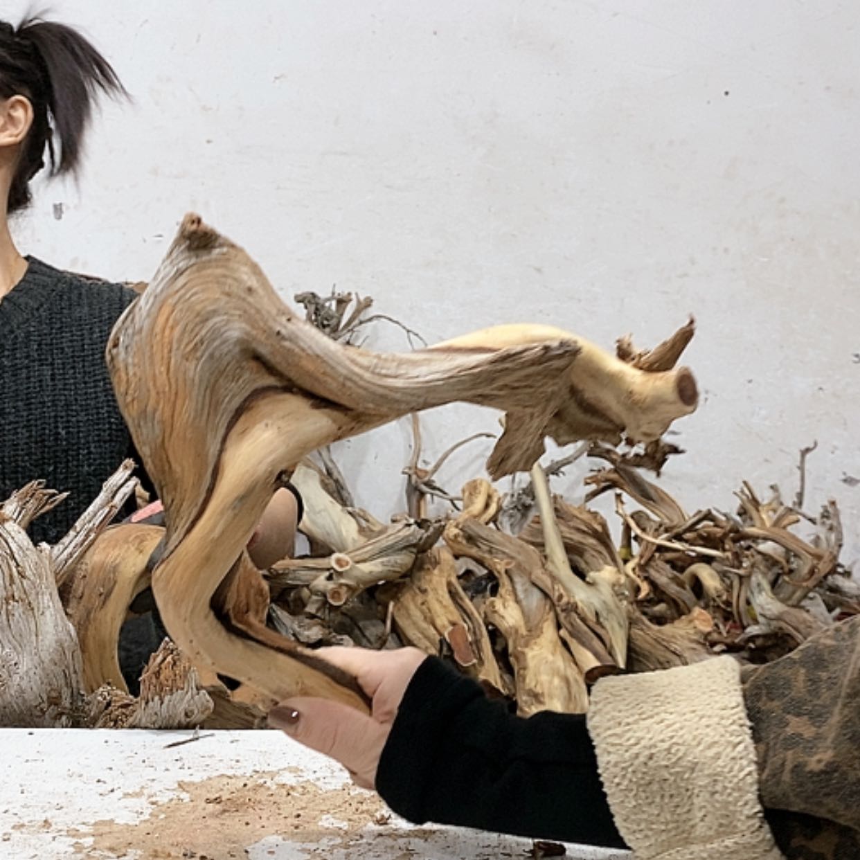 【闪购商品】柏木刺***刺我们都是好孩子