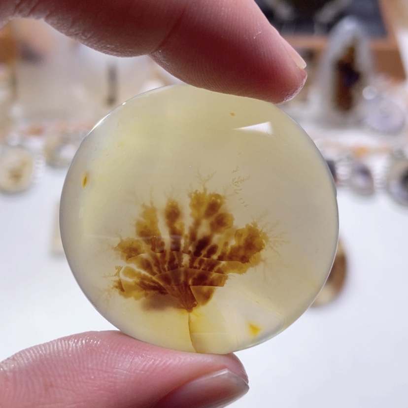 【闪购商品】玛瑙/玉髓颈饰未镶嵌