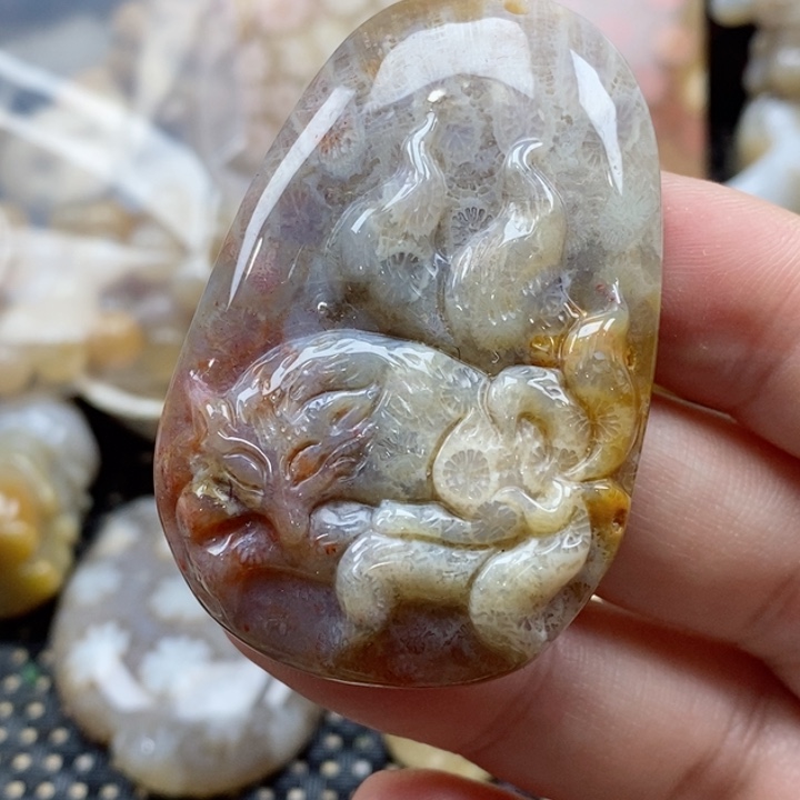 硅化珊瑚（珊瑚玉）颈饰未镶嵌
