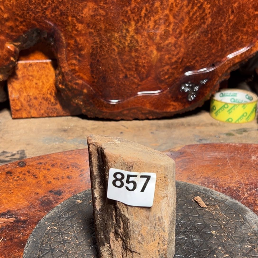 雄***艺大果紫檀（缅甸花梨）